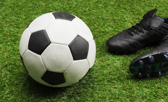 Bulgaristan ve Güney Kore Karşılaşmasının Detayları