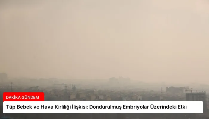 Tüp Bebek ve Hava Kirliliği İlişkisi: Dondurulmuş Embriyolar Üzerindeki Etki