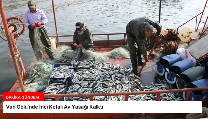 Van Gölü’nde İnci Kefali Av Yasağı Kalktı