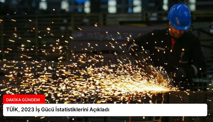 TÜİK, 2023 İş Gücü İstatistiklerini Açıkladı