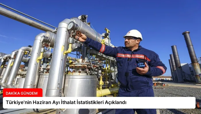 Türkiye’nin Haziran Ayı İthalat İstatistikleri Açıklandı