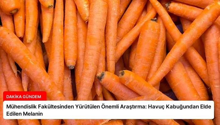 Mühendislik Fakültesinden Yürütülen Önemli Araştırma: Havuç Kabuğundan Elde Edilen Melanin