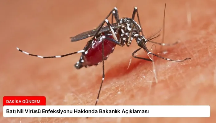 Batı Nil Virüsü Enfeksiyonu Hakkında Bakanlık Açıklaması