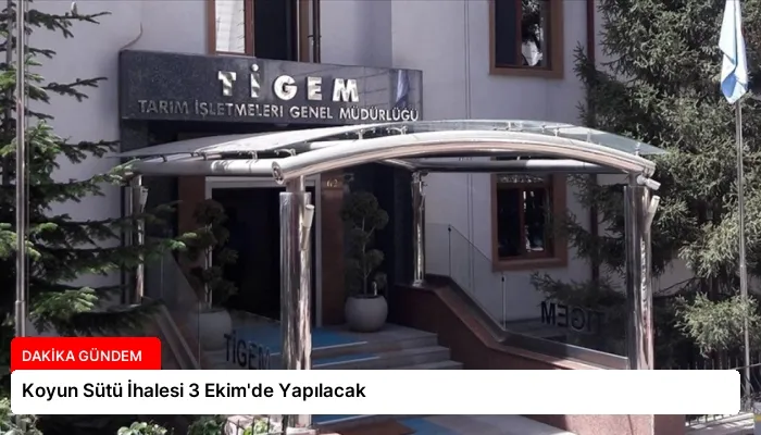 Koyun Sütü İhalesi 3 Ekim’de Yapılacak