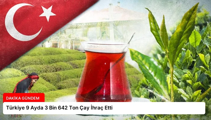 Türkiye 9 Ayda 3 Bin 642 Ton Çay İhraç Etti