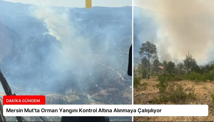 Mersin Mut’ta Orman Yangını Kontrol Altına Alınmaya Çalışılıyor