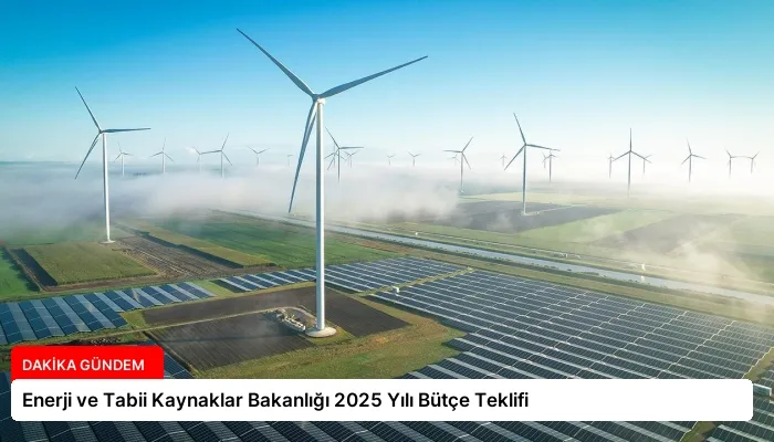 Enerji ve Tabii Kaynaklar Bakanlığı 2025 Yılı Bütçe Teklifi