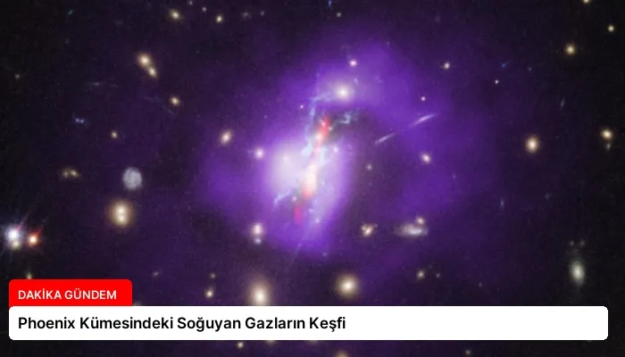 Phoenix Kümesindeki Soğuyan Gazların Keşfi