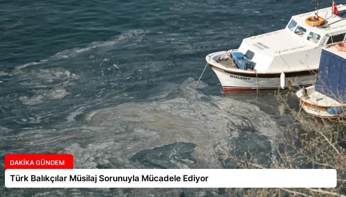 Türk Balıkçılar Müsilaj Sorunuyla Mücadele Ediyor