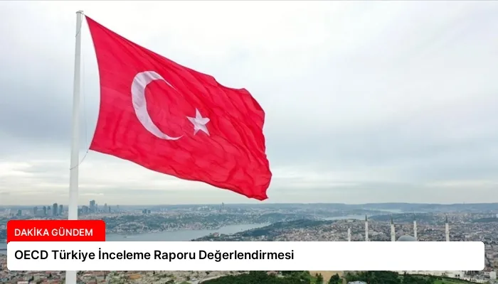OECD Türkiye İnceleme Raporu Değerlendirmesi