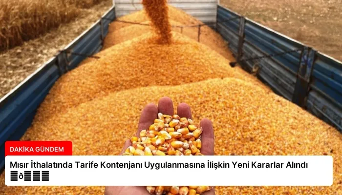 Mısır İthalatında Tarife Kontenjanı Uygulanmasına İlişkin Yeni Kararlar Alındı ⏬👇