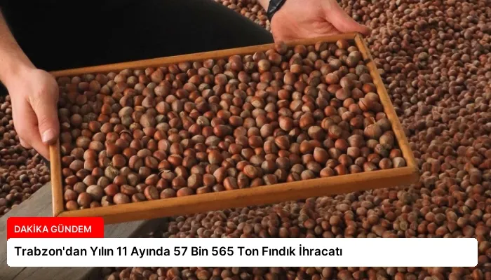 Trabzon’dan Yılın 11 Ayında 57 Bin 565 Ton Fındık İhracatı