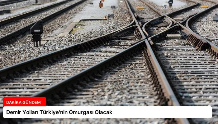 Demir Yolları Türkiye’nin Omurgası Olacak