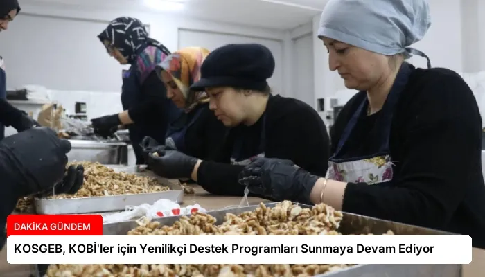 KOSGEB, KOBİ’ler için Yenilikçi Destek Programları Sunmaya Devam Ediyor