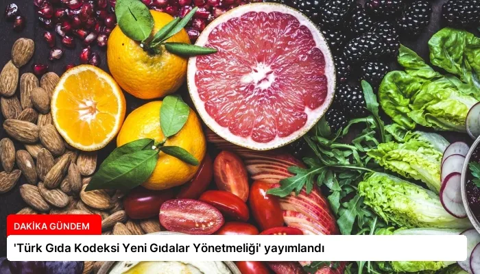 ‘Türk Gıda Kodeksi Yeni Gıdalar Yönetmeliği’ yayımlandı