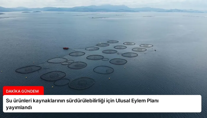 Su ürünleri kaynaklarının sürdürülebilirliği için Ulusal Eylem Planı yayımlandı