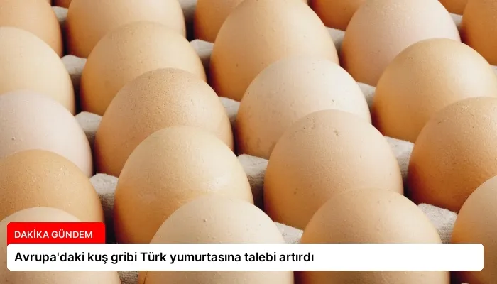 Avrupa’daki kuş gribi Türk yumurtasına talebi artırdı
