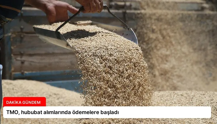 TMO, hububat alımlarında ödemelere başladı