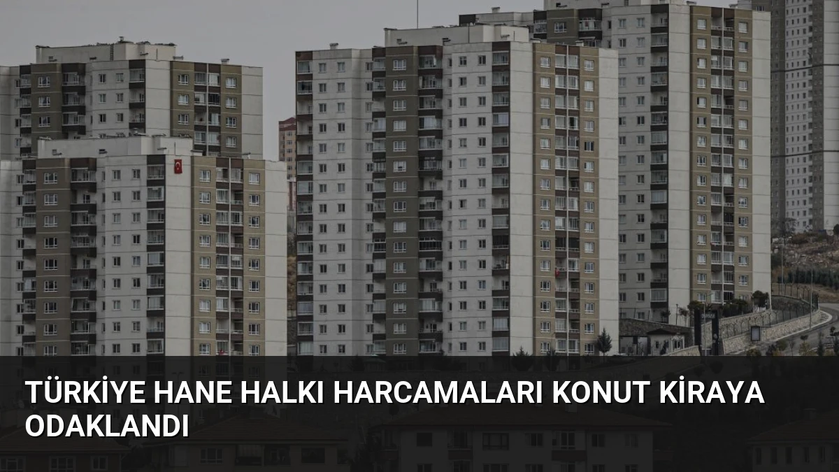 Türkiye Hane Halkı Harcamaları Konut Kiraya Odaklandı