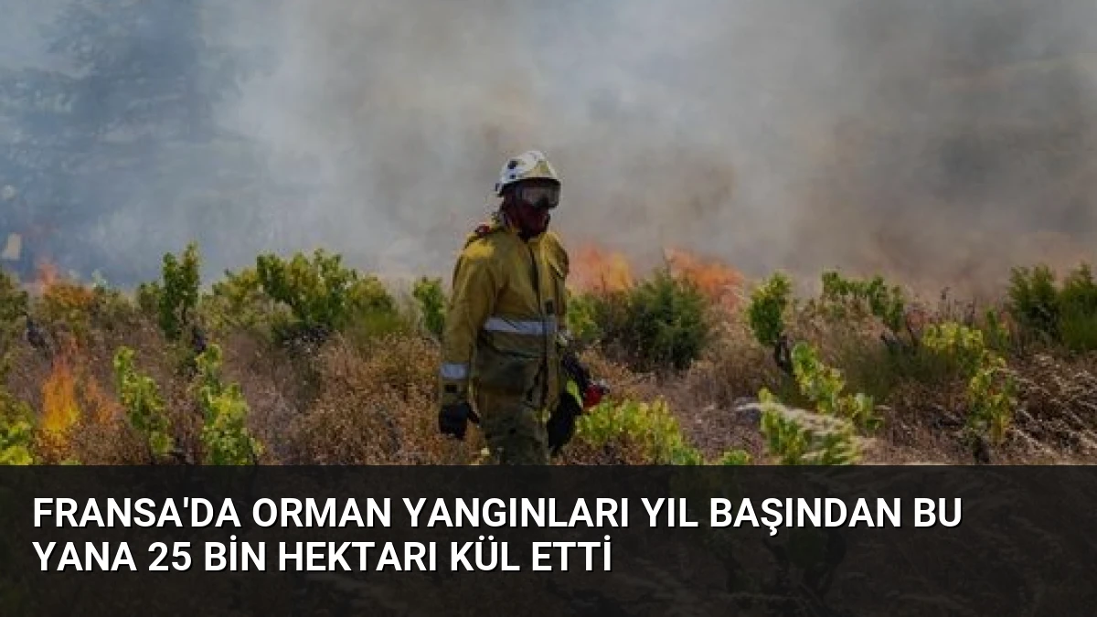 Fransa’da Orman Yangınları Yıl Başından Bu Yana 25 Bin Hektarı Kül Etti