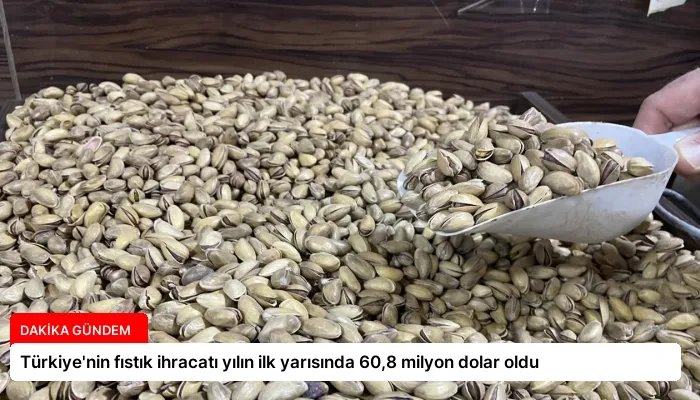 Türkiye’nin fıstık ihracatı yılın ilk yarısında 60,8 milyon dolar oldu