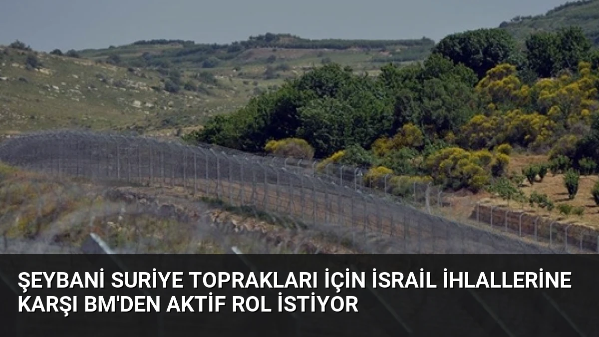 Şeybani Suriye Toprakları İçin İsrail İhlallerine Karşı BM’den Aktif Rol İstiyor