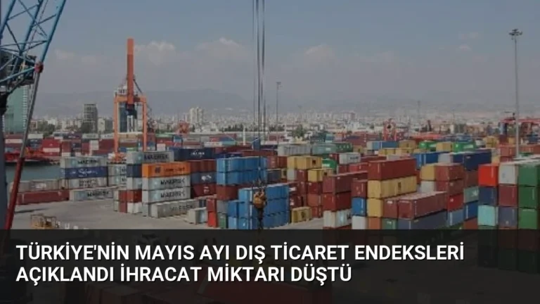 Türkiye’nin Mayıs Ayı Dış Ticaret Endeksleri Açıklandı İhracat Miktarı Düştü