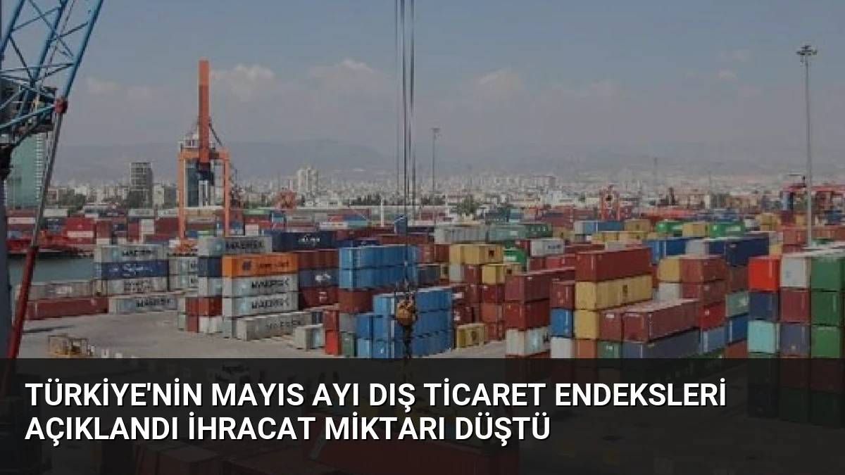 Türkiye’nin Mayıs Ayı Dış Ticaret Endeksleri Açıklandı İhracat Miktarı Düştü