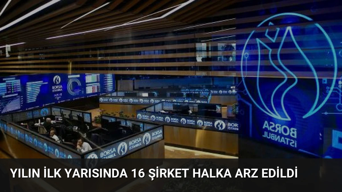 Yılın İlk Yarısında 16 Şirket Halka Arz Edildi