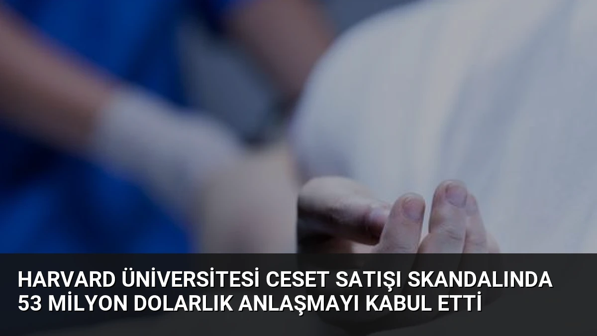 Harvard Üniversitesi Ceset Satışı Skandalında 53 Milyon Dolarlık Anlaşmayı Kabul Etti