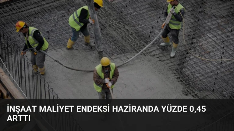 İnşaat Maliyet Endeksi Haziranda Yüzde 0,45 Arttı