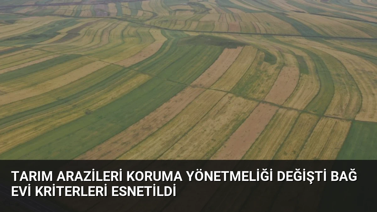 Tarım Arazileri Koruma Yönetmeliği Değişti Bağ Evi Kriterleri Esnetildi