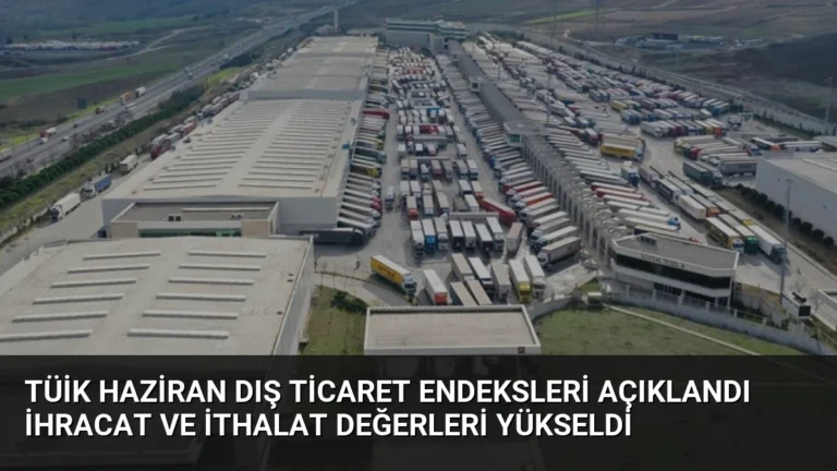 TÜİK Haziran Dış Ticaret Endeksleri Açıklandı İhracat ve İthalat Değerleri Yükseldi