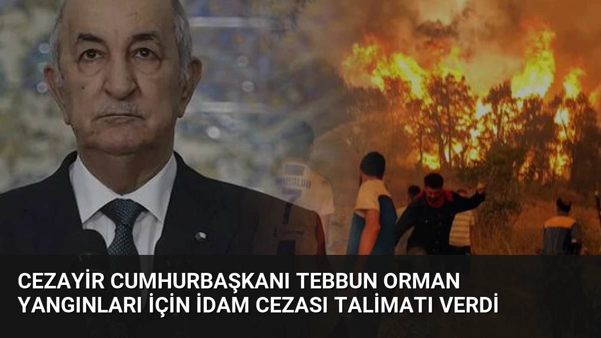 Cezayir Cumhurbaşkanı Tebbun Orman Yangınları İçin İdam Cezası Talimatı Verdi