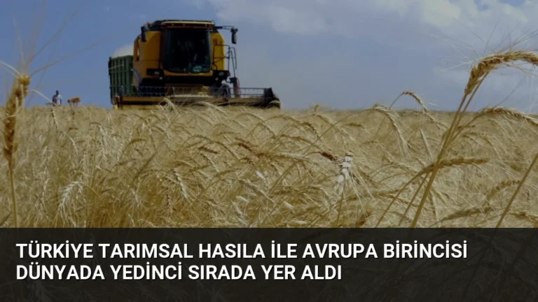 Türkiye Tarımsal Hasıla İle Avrupa Birincisi Dünyada Yedinci Sırada Yer Aldı