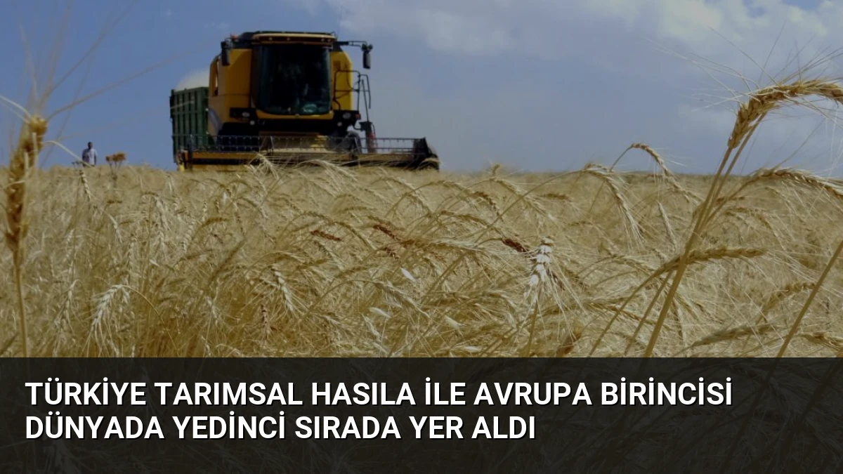 Türkiye Tarımsal Hasıla İle Avrupa Birincisi Dünyada Yedinci Sırada Yer Aldı