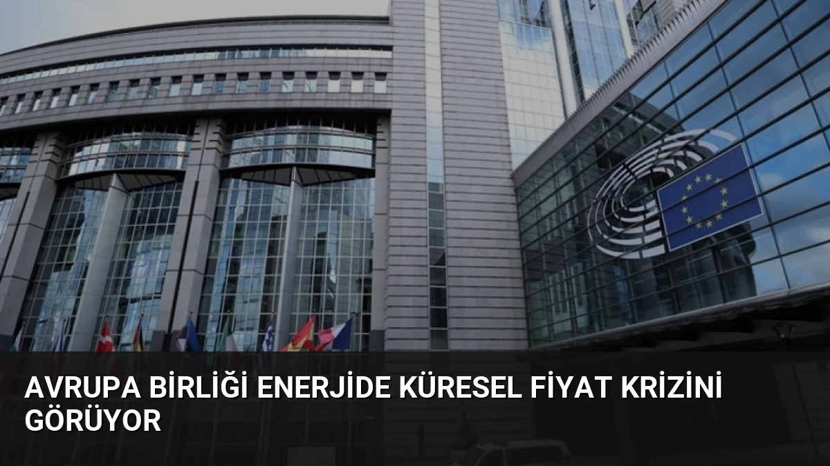 Avrupa Birliği Enerjide Küresel Fiyat Krizini Görüyor