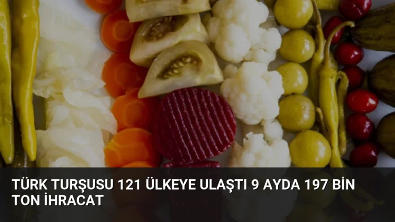 Türk Turşusu 121 Ülkeye Ulaştı 9 Ayda 197 Bin Ton İhracat